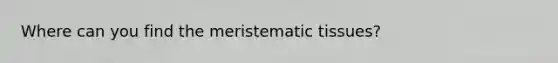 Where can you find the meristematic tissues?