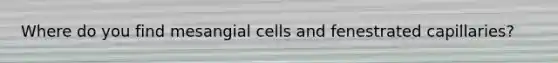 Where do you find mesangial cells and fenestrated capillaries?