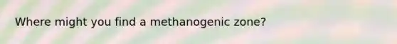 Where might you find a methanogenic zone?