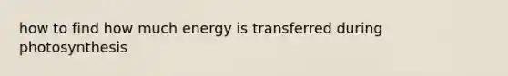 how to find how much energy is transferred during photosynthesis