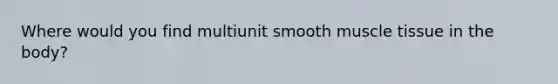 Where would you find multiunit smooth muscle tissue in the body?