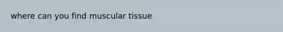 where can you find muscular tissue