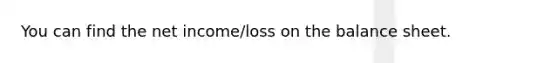 You can find the net income/loss on the balance sheet.