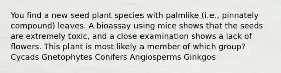 You find a new seed plant species with palmlike (i.e., pinnately compound) leaves. A bioassay using mice shows that the seeds are extremely toxic, and a close examination shows a lack of flowers. This plant is most likely a member of which group? Cycads Gnetophytes Conifers Angiosperms Ginkgos