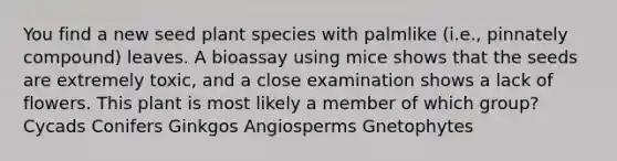 You find a new seed plant species with palmlike (i.e., pinnately compound) leaves. A bioassay using mice shows that the seeds are extremely toxic, and a close examination shows a lack of flowers. This plant is most likely a member of which group? Cycads Conifers Ginkgos Angiosperms Gnetophytes