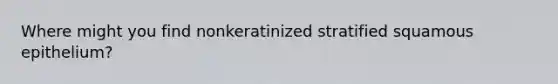 Where might you find nonkeratinized stratified squamous epithelium?