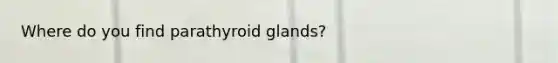 Where do you find parathyroid glands?