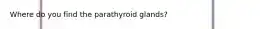 Where do you find the parathyroid glands?