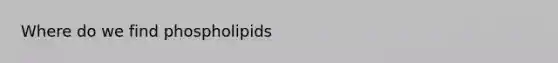 Where do we find phospholipids