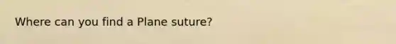 Where can you find a Plane suture?