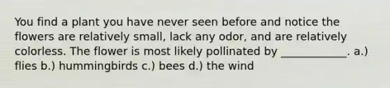 You find a plant you have never seen before and notice the flowers are relatively small, lack any odor, and are relatively colorless. The flower is most likely pollinated by ____________. a.) flies b.) hummingbirds c.) bees d.) the wind