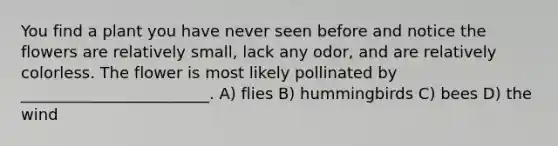 You find a plant you have never seen before and notice the flowers are relatively small, lack any odor, and are relatively colorless. The flower is most likely pollinated by ________________________. A) flies B) hummingbirds C) bees D) the wind