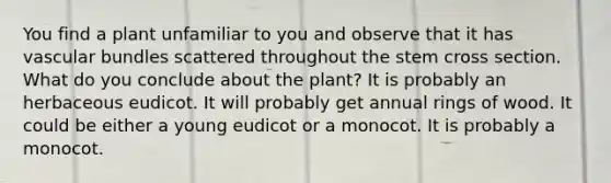 You find a plant unfamiliar to you and observe that it has vascular bundles scattered throughout the stem cross section. What do you conclude about the plant? It is probably an herbaceous eudicot. It will probably get annual rings of wood. It could be either a young eudicot or a monocot. It is probably a monocot.