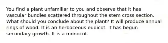 You find a plant unfamiliar to you and observe that it has vascular bundles scattered throughout the stem cross section. What should you conclude about the plant? It will produce annual rings of wood. It is an herbaceous eudicot. It has begun secondary growth. It is a monocot.