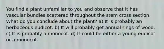 You find a plant unfamiliar to you and observe that it has vascular bundles scattered throughout the stem cross section. What do you conclude about the plant? a) It is probably an herbaceous eudicot. b) It will probably get annual rings of wood. c) It is probably a monocot. d) It could be either a young eudicot or a monocot.