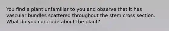 You find a plant unfamiliar to you and observe that it has vascular bundles scattered throughout the stem cross section. What do you conclude about the plant?