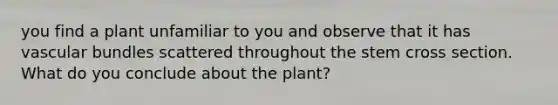 you find a plant unfamiliar to you and observe that it has vascular bundles scattered throughout the stem cross section. What do you conclude about the plant?