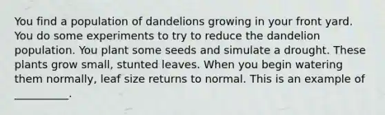 You find a population of dandelions growing in your front yard. You do some experiments to try to reduce the dandelion population. You plant some seeds and simulate a drought. These plants grow small, stunted leaves. When you begin watering them normally, leaf size returns to normal. This is an example of __________.