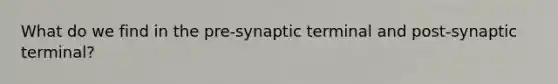 What do we find in the pre-synaptic terminal and post-synaptic terminal?