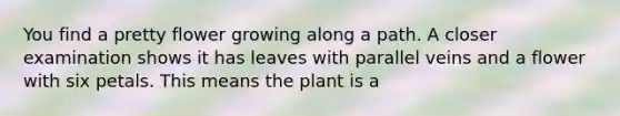 You find a pretty flower growing along a path. A closer examination shows it has leaves with parallel veins and a flower with six petals. This means the plant is a