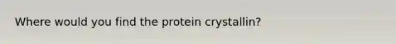 Where would you find the protein crystallin?