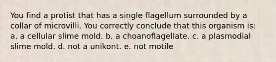 You find a protist that has a single flagellum surrounded by a collar of microvilli. You correctly conclude that this organism is: a. a cellular slime mold. b. a choanoflagellate. c. a plasmodial slime mold. d. not a unikont. e. not motile