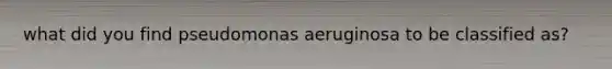 what did you find pseudomonas aeruginosa to be classified as?