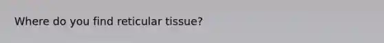 Where do you find reticular tissue?