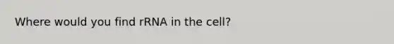 Where would you find rRNA in the cell?