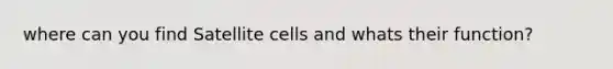 where can you find Satellite cells and whats their function?