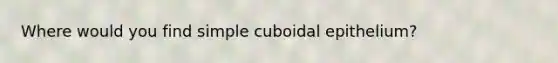 Where would you find simple cuboidal epithelium?