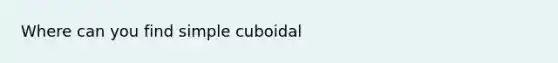 Where can you find simple cuboidal