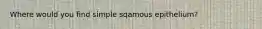 Where would you find simple sqamous epithelium?