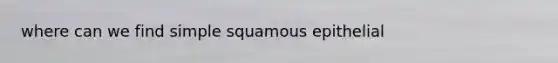 where can we find simple squamous epithelial