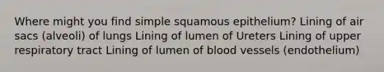 Where might you find simple squamous epithelium? Lining of air sacs (alveoli) of lungs Lining of lumen of Ureters Lining of upper respiratory tract Lining of lumen of blood vessels (endothelium)