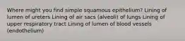 Where might you find simple squamous epithelium? Lining of lumen of ureters Lining of air sacs (alveoli) of lungs Lining of upper respiratory tract Lining of lumen of blood vessels (endothelium)