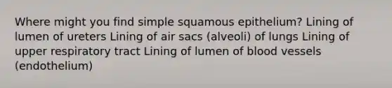 Where might you find simple squamous epithelium? Lining of lumen of ureters Lining of air sacs (alveoli) of lungs Lining of upper respiratory tract Lining of lumen of blood vessels (endothelium)