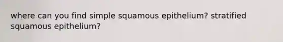 where can you find simple squamous epithelium? stratified squamous epithelium?