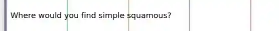 Where would you find simple squamous?