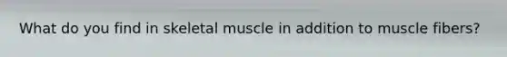 What do you find in skeletal muscle in addition to muscle fibers?