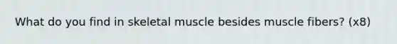 What do you find in skeletal muscle besides muscle fibers? (x8)