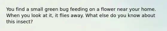You find a small green bug feeding on a flower near your home. When you look at it, it flies away. What else do you know about this insect?
