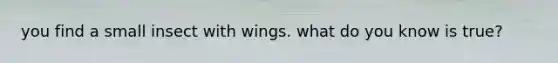 you find a small insect with wings. what do you know is true?