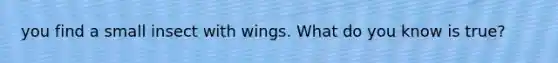 you find a small insect with wings. What do you know is true?