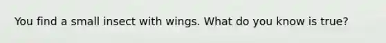 You find a small insect with wings. What do you know is true?