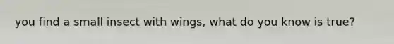 you find a small insect with wings, what do you know is true?