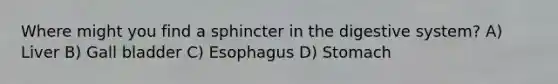 Where might you find a sphincter in the digestive system? A) Liver B) Gall bladder C) Esophagus D) Stomach