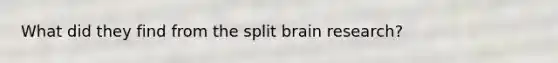 What did they find from the split brain research?