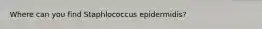 Where can you find Staphlococcus epidermidis?