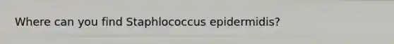 Where can you find Staphlococcus epidermidis?